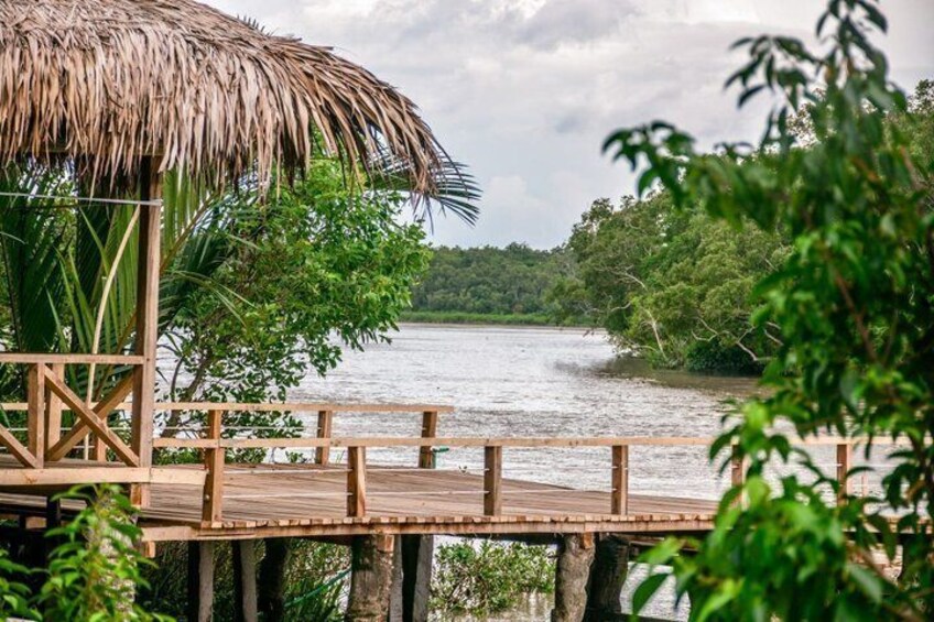 Une jetée en bois s’étendant au-dessus d’une étendue d’eau, entourée d’une végétation luxuriante et bordée d’une structure à toit de chaume. 3