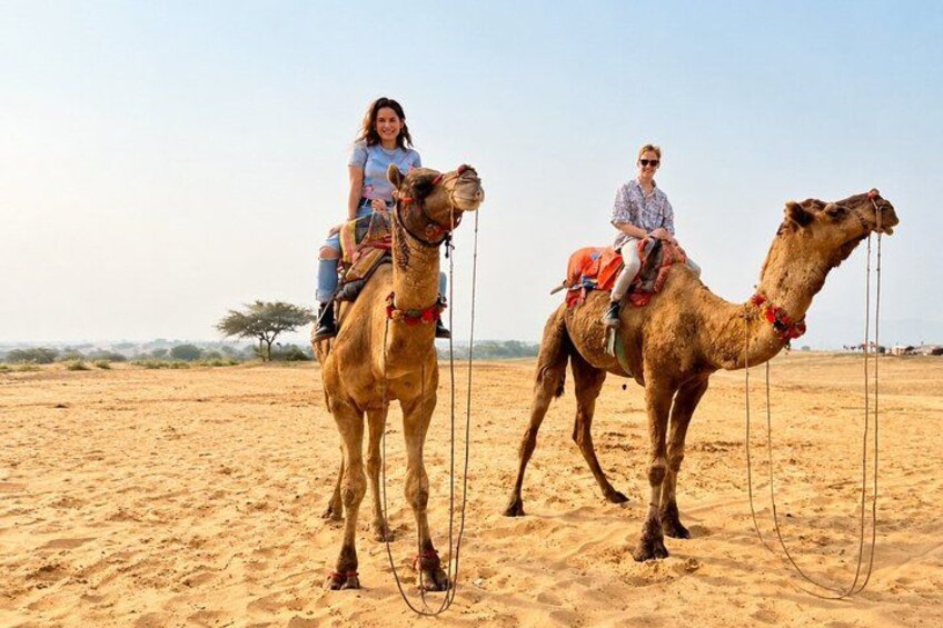 Pushkar Day Trip from Jaipur – Private Car, Safari, Guide & Lunch 1