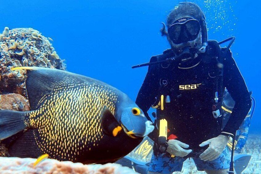 Private Discover Scuba Diving in Cozumel for First-Time Divers 5