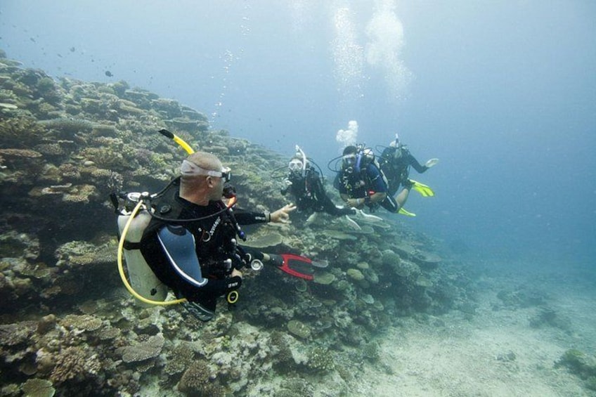 Fun Dives For Certified Divers 3