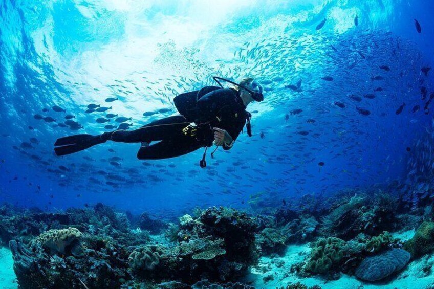 Fun Dives For Certified Divers 1