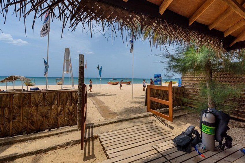 Fun Dives For Certified Divers 3