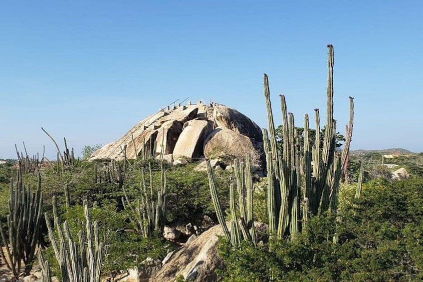 Paisaje desértico con una gran formación rocosa, cactus y vegetación escasa. 2