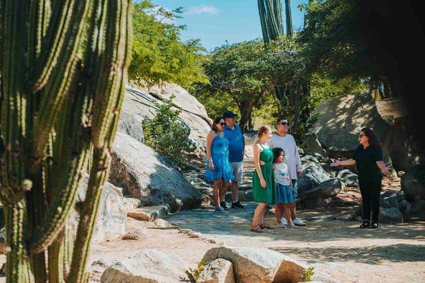 Full-Day Aruba History and Must-See Landmarks Tour 2