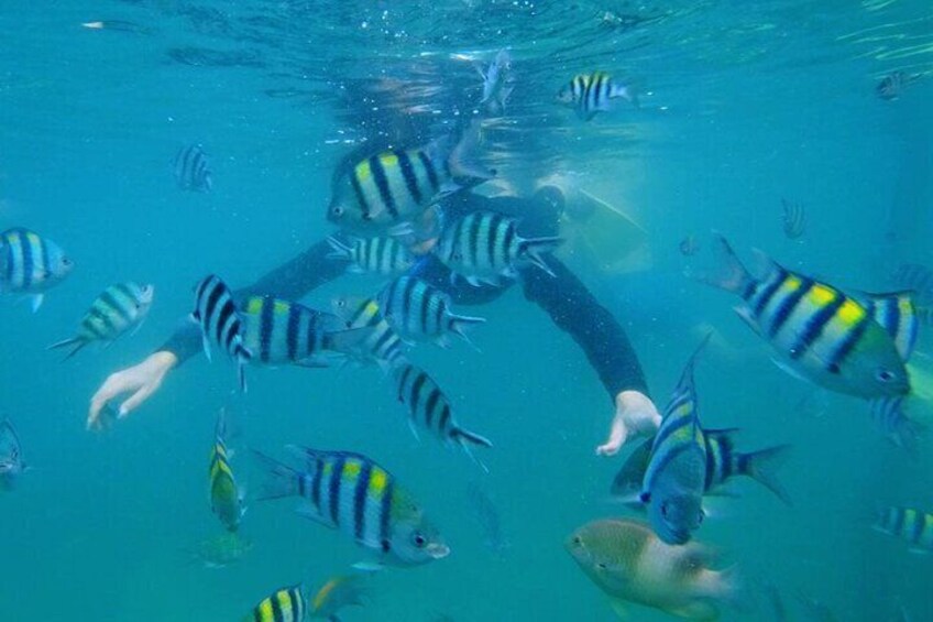 Bintan Snorkeling Tour