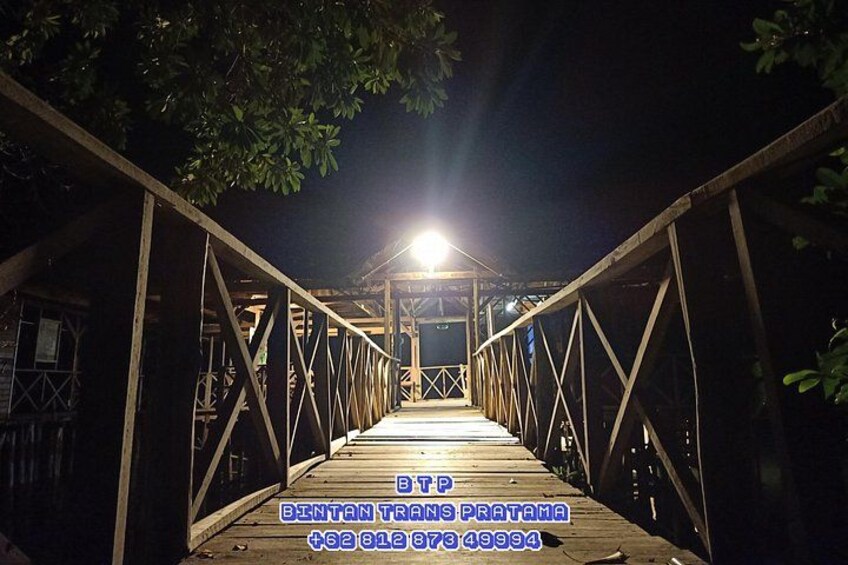 A wooden pedestrian bridge at night with metal railings and a light at the end. 2