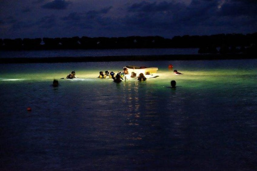 A nighttime scene with people on a boat and others in the water, illuminated by boat lights. 1