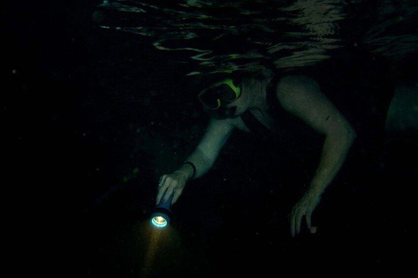 A person underwater with a flashlight. 3