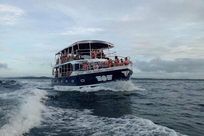 Een groot schip met meerdere dekken en passagiers, op zee. 1