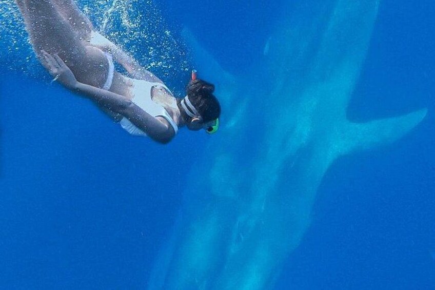 Eine Person beim Schnorcheln unter Wasser. 4