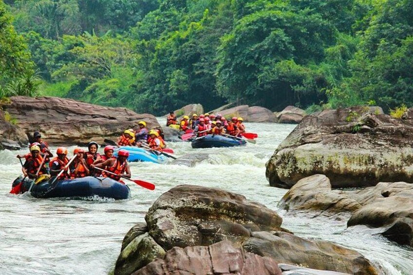 Adventure Experience A in Kitulgala 2