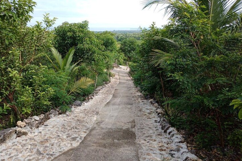 Colina Isla de Bantayan 4