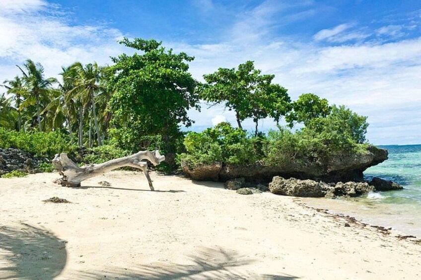 Lagoon 3