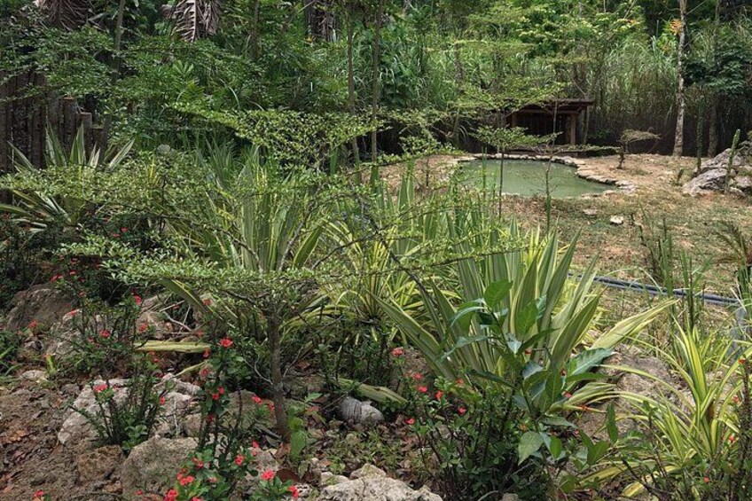Cebu Safari and Adventure Park 1
