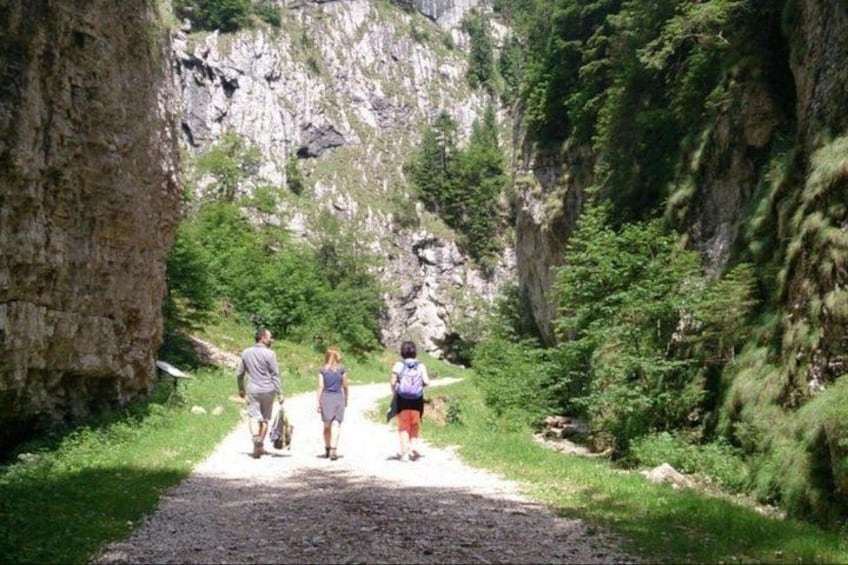 1 day CARPATHIAN PEAKS & CHALETS hike 2