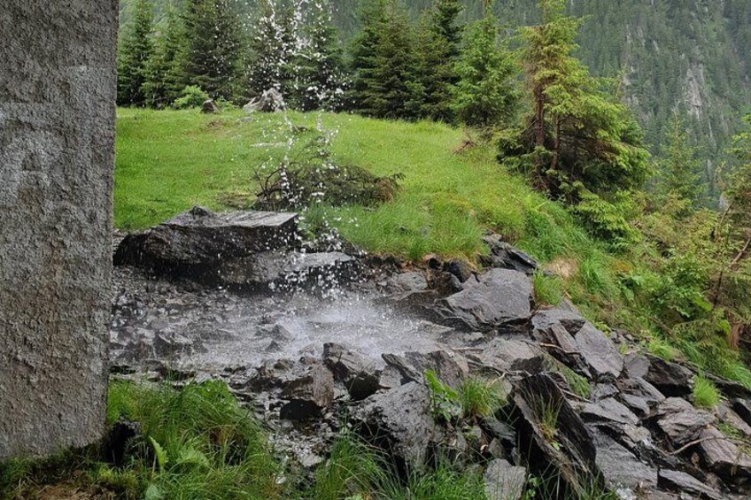 A rocky stream with water cascading over rocks, surrounded by lush greenery and trees. 2