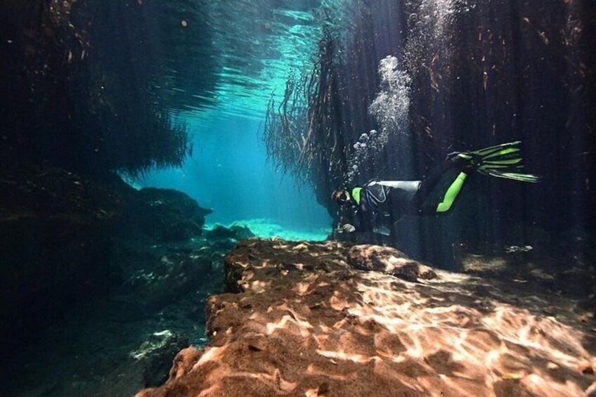 An underwater scene with a diver, rocky formations, and clear water. 1
