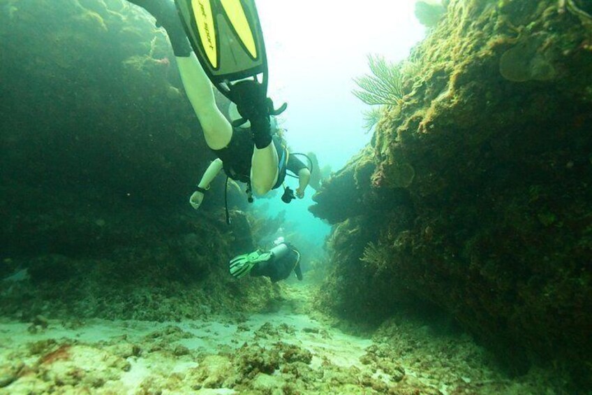Discover Scuba Diving in Tulum 3