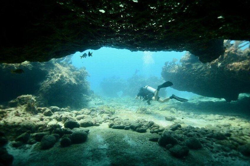 Discover Scuba Diving in Tulum 4
