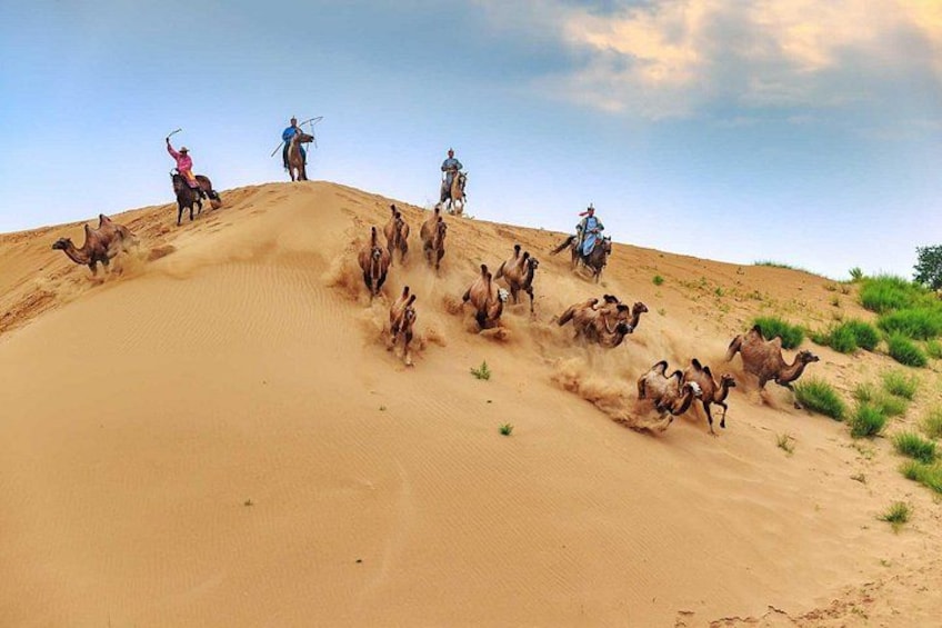 A group of people riding camels on a sand dune. 1