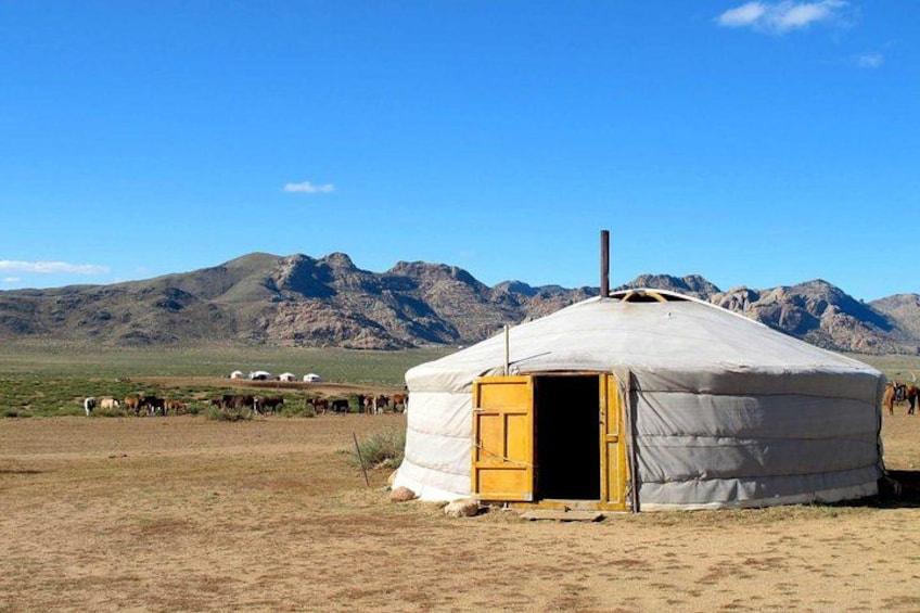 A yurt in a grassy field with mountains in the background. 2