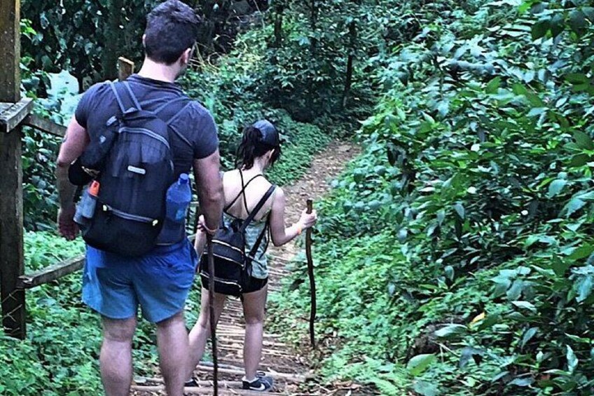 Grand Etang Rainforest Hike – Small-Group Grenada Nature Explorer 4