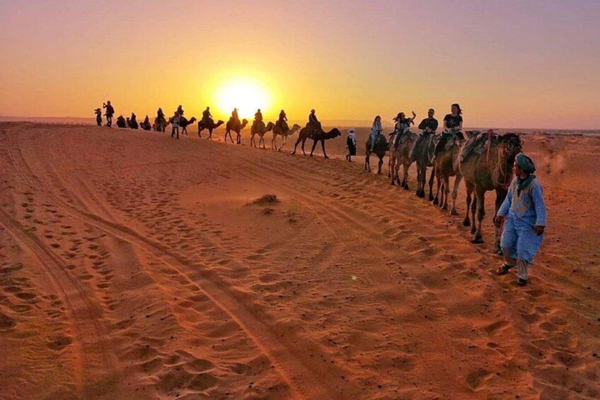 1 Night All inclusive Camel Ride & Desert Camp 2