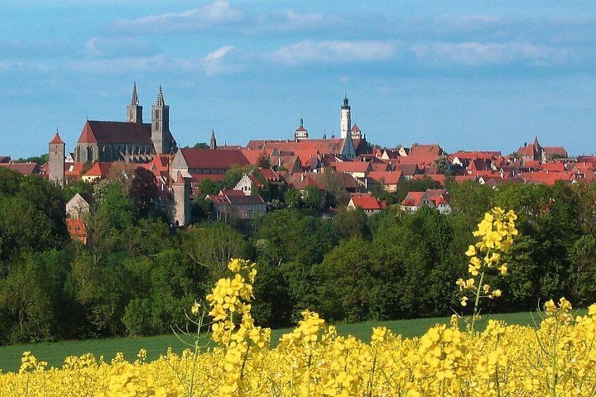 A town with red-roofed buildings, a church with a tower, and a field of yellow flowers. 1