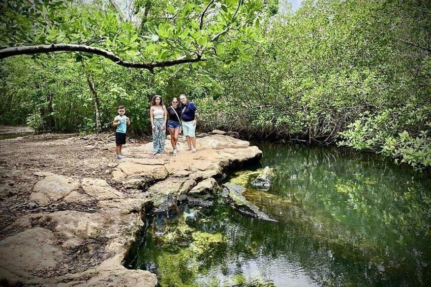 Cozumel: Private Excursion - MiniVan or Jeep (Your Day, Your Way) 3