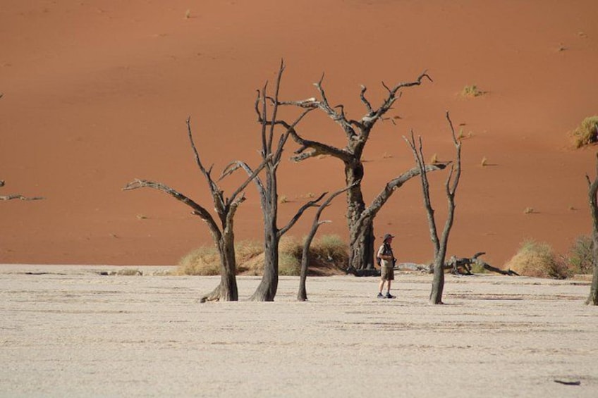 04 Days Swakopmund And Sossusvlei 3