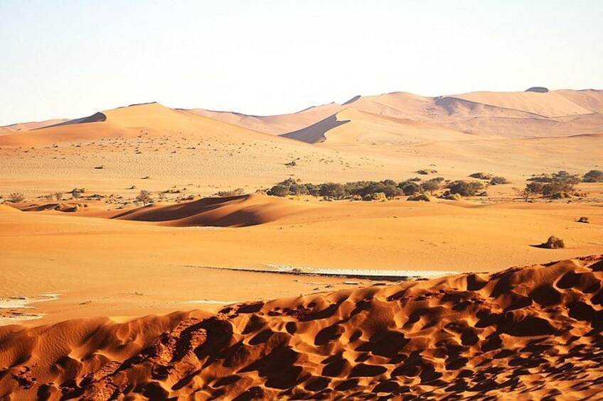 A desert landscape with sand dunes and sparse vegetation. 1