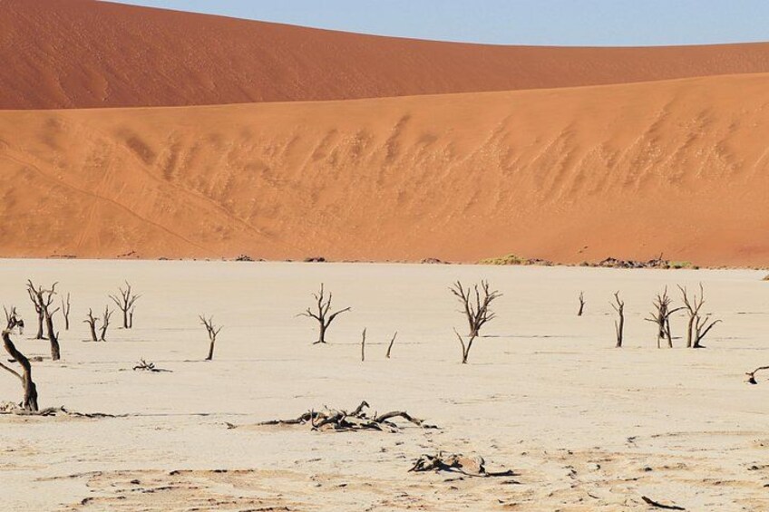 A desert landscape with sand dunes and sparse vegetation. 3