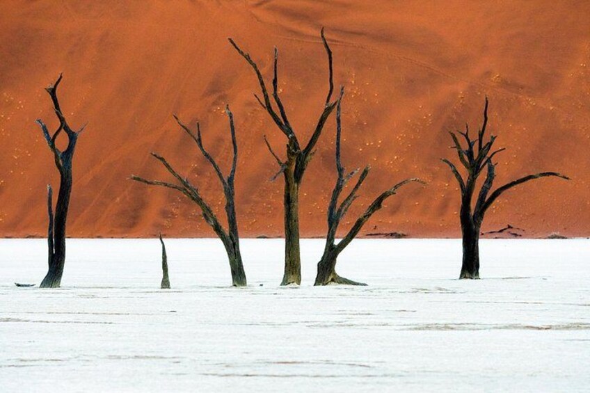 3 Days Amazing Red Dunes of Sossusvlei | Private Guided Tour 2