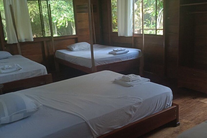 Yasuni National Park 3 days 2 nights in the Amazon of Ecuador,comfortable rooms 4