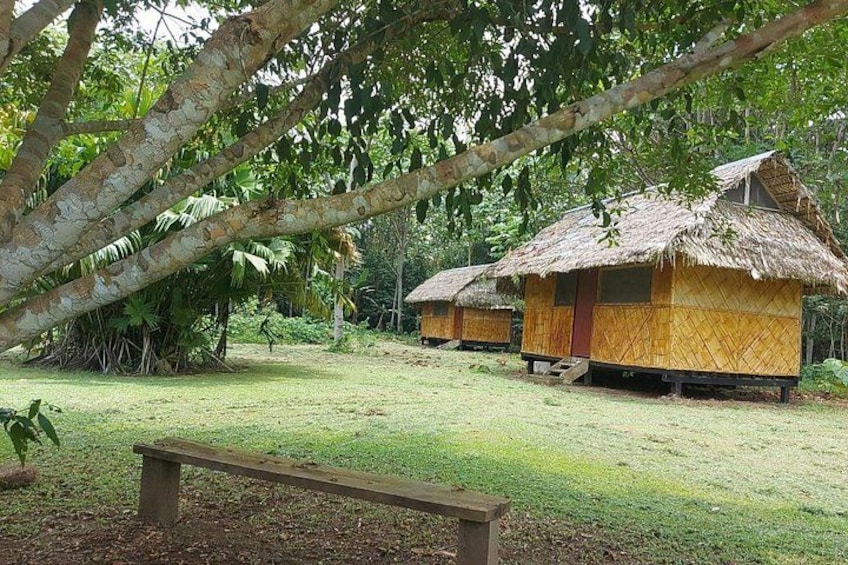 Thatched-roof huts in a lush, green setting with a bench and trees. 4