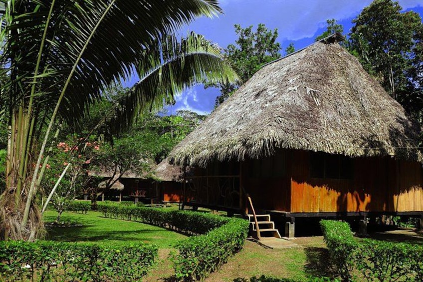 A thatched-roof hut with a wooden staircase leading up to it, surrounded by lush greenery and palm trees. 5