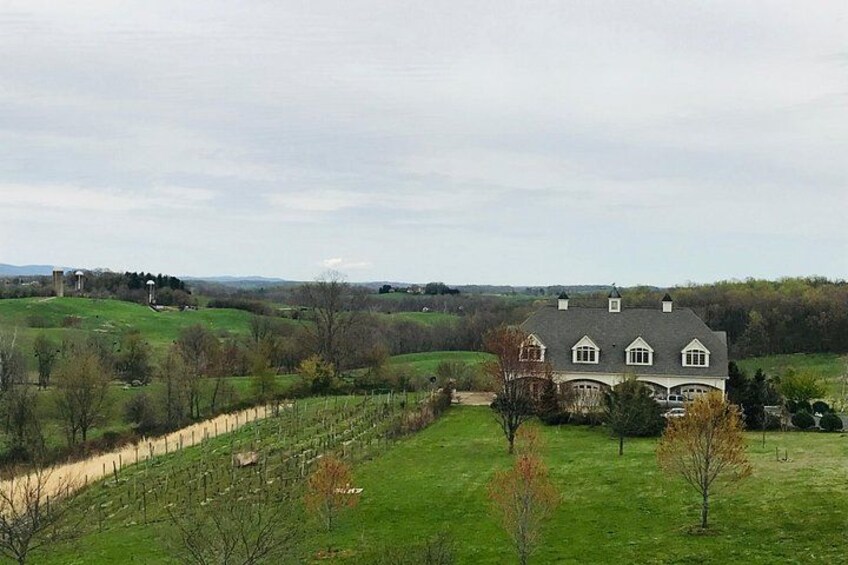 A large house surrounded by a green field and a small hill with a tower. 3