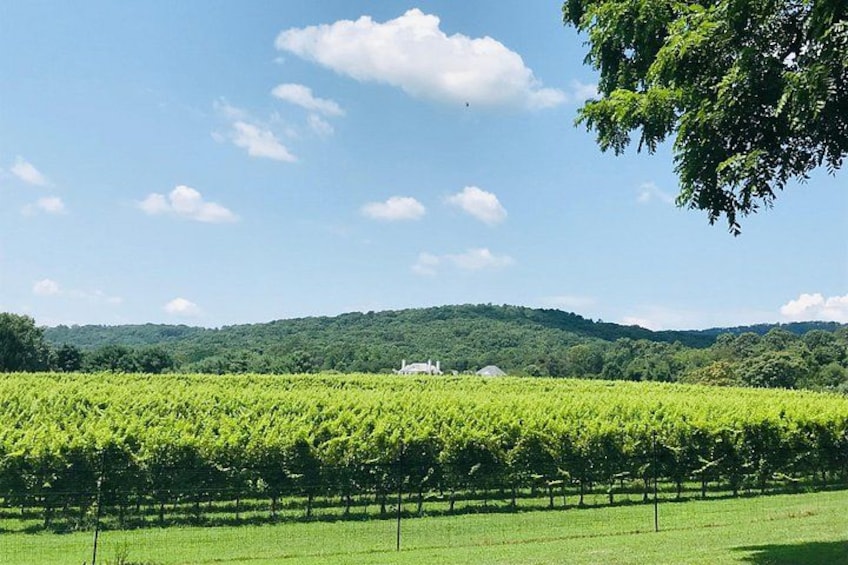 Enjoy the expansive views of Virginia's wine country! 4