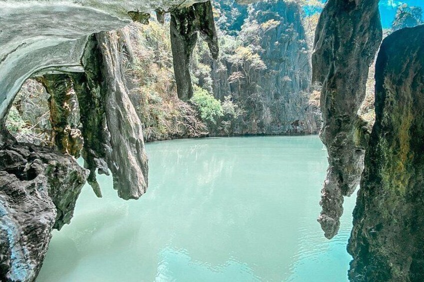 Oyster Cave 3