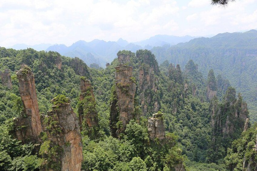 Un paisaje con formaciones rocosas altas y esbeltas, rodeado de un denso bosque verde. 1