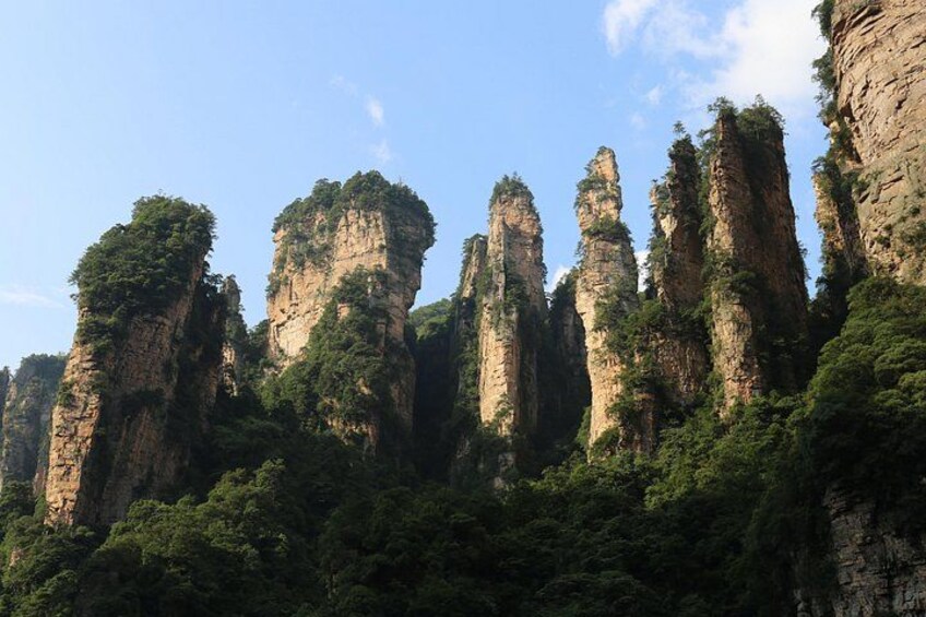Majestätische Kreidefelsen mit dichter grüner Vegetation. 2