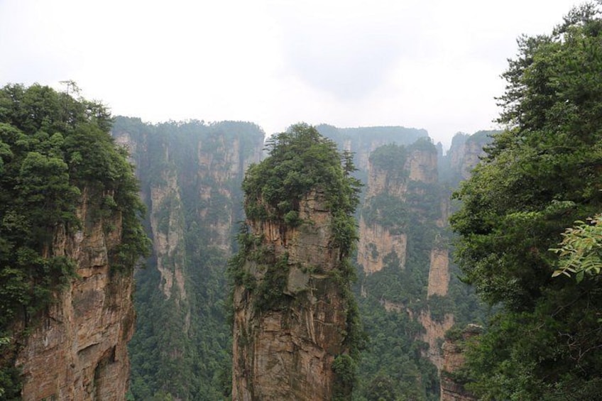 A canyon with steep cliffs and dense forest. 5
