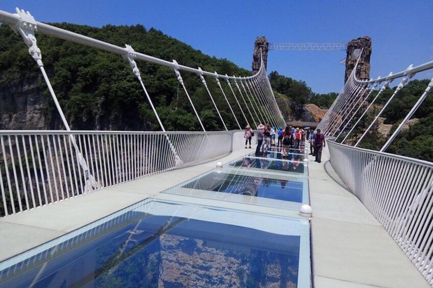 Glass Bridge,Yuanjiajie Avatar Mountain&Tianzi Mountain day tour 3