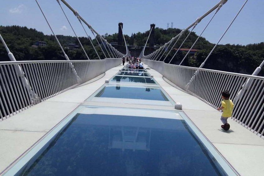 A pedestrian bridge with glass panels and white railings. 3