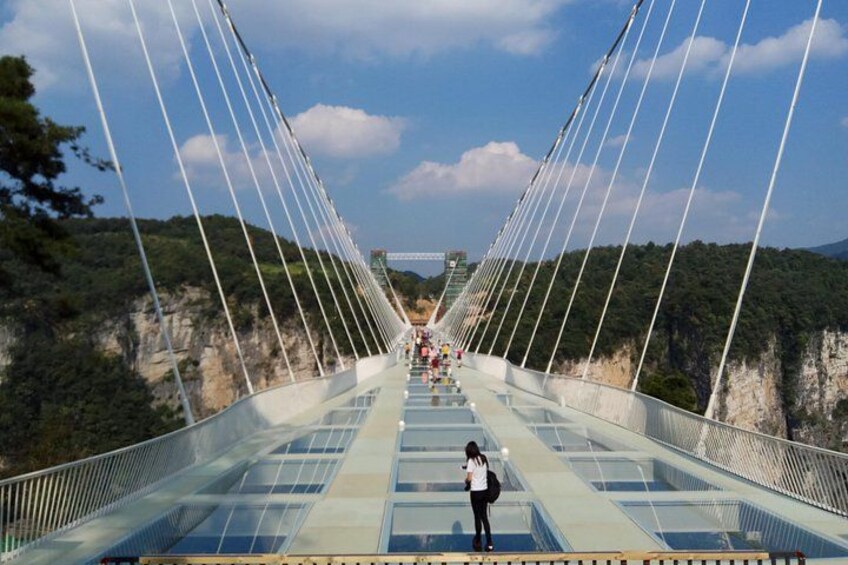 Glass Bridge,Yuanjiajie Avatar Mountain&Tianzi Mountain day tour 5