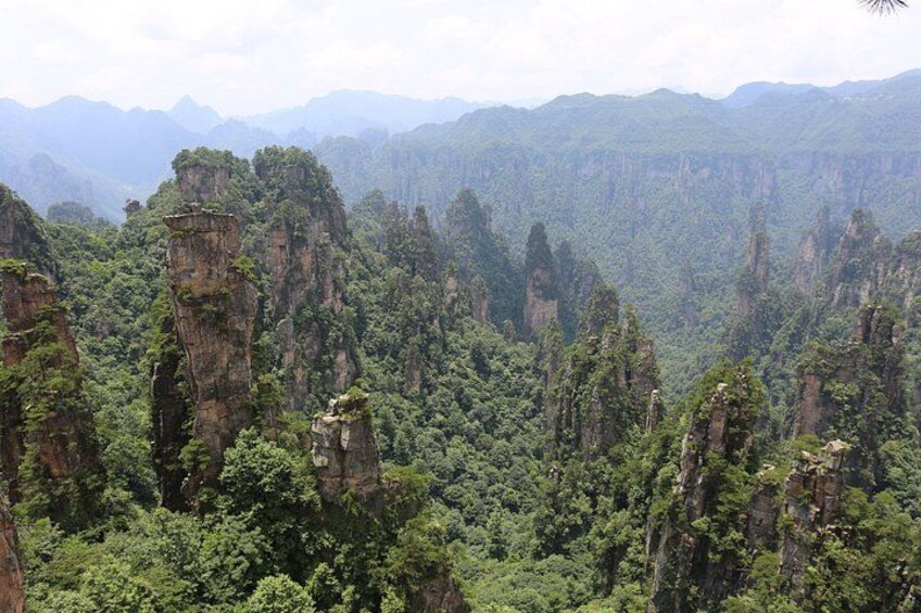A landscape with towering limestone karst formations, dense green forest, and distant mountains. 4