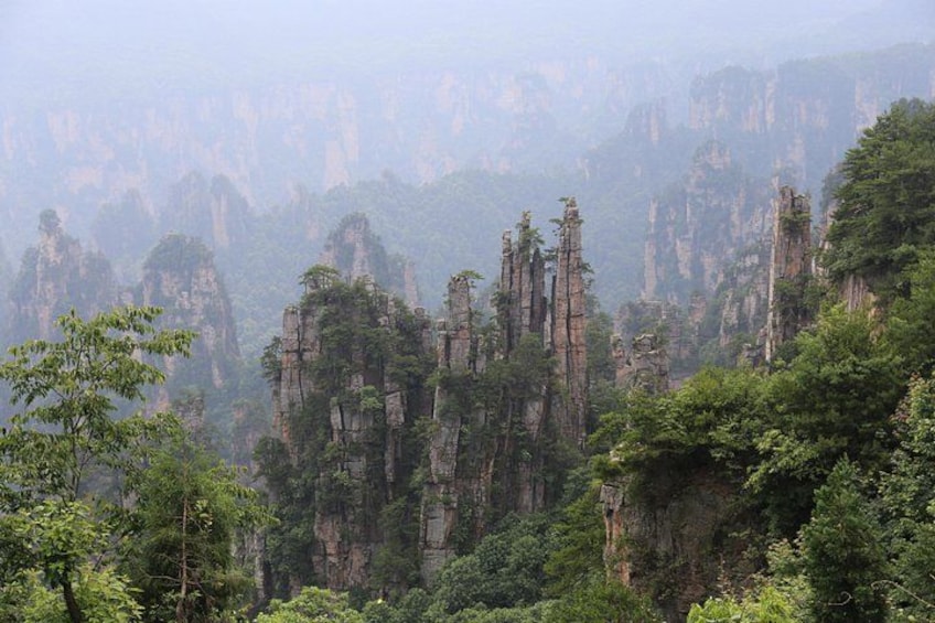 Glass Bridge,Yuanjiajie Avatar Mountain&Tianzi Mountain day tour 1