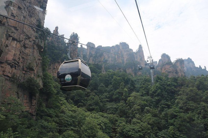A cable car suspended between cliffs, surrounded by dense forest. 2