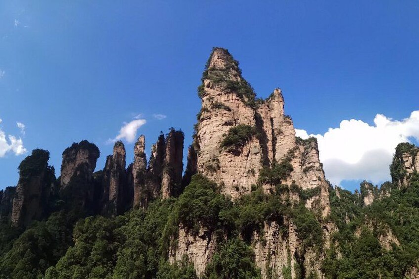 Glass Bridge,Yuanjiajie Avatar Mountain&Tianzi Mountain day tour 4