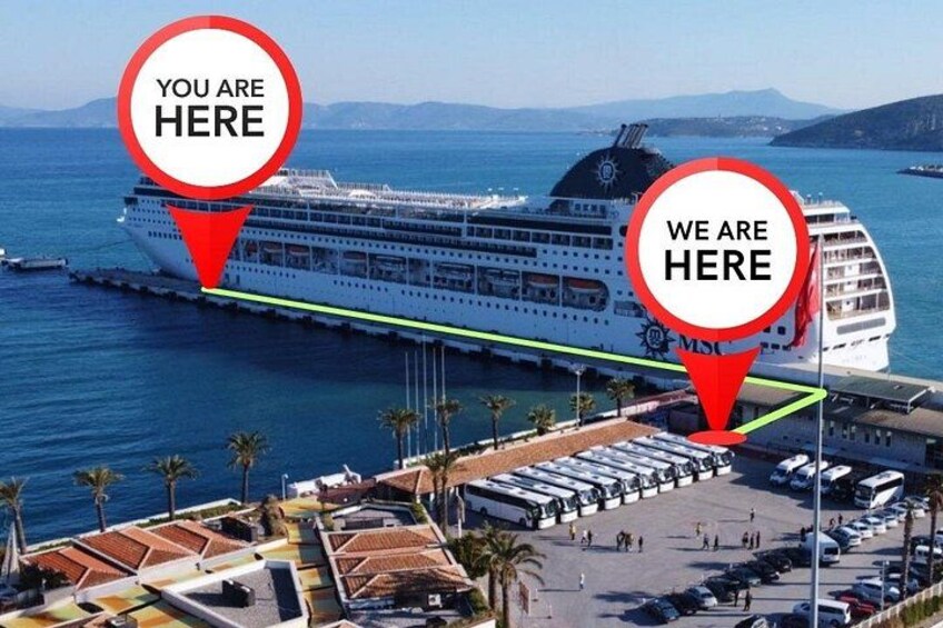 A cruise ship docked at a port with a clear view of the surrounding marina and palm trees. 3